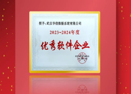 华信数据荣膺武汉市软件行业协会2023~2024年度优秀软件企业称号