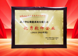 喜报丨华信数据获评2024~2025年度武汉市软件行业“优秀企业”、“优秀工作者”荣誉称号！